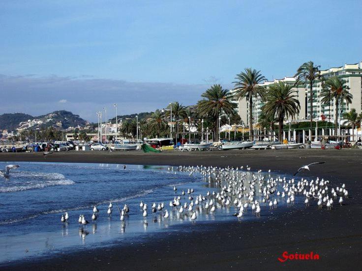 Apartamento El Bambu Cerca Del Mar Malaga Luaran gambar